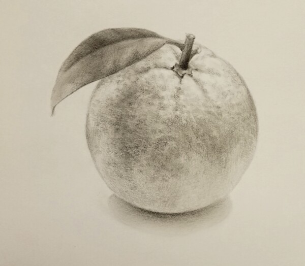 Drawing of an Orange in graphite on a table.