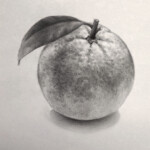 Drawing of an Orange in Graphite by the artist Kevin McCain