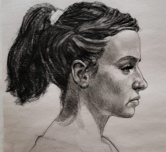 Portrait Drawing for the Intermediate Drawing