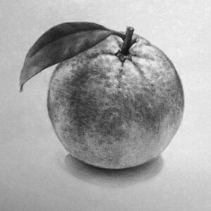 Drawing of an Orange in Graphite by the artist Kevin McCain